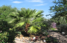 arid10