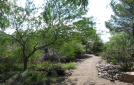 arid11