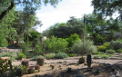 arid4