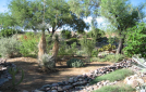 arid5