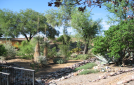 arid6