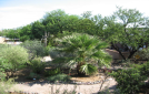 arid9